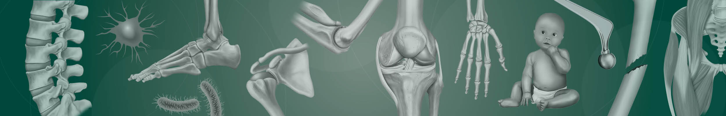 Homepage image